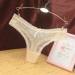 Women-Porn-Lingerie-Sexy-Underwear-sheer-lace-low-waist-transparent-panties-thong-sexy-Panties-D91206